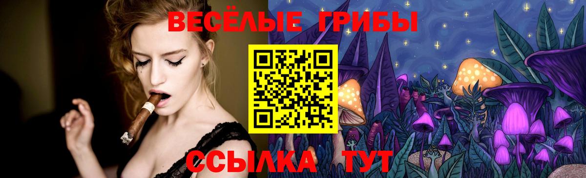 Псилоцибиновые грибы Psilocybine cubensis  Галлюциногенные грибы мицелий  Реутов  Вход с VPN 